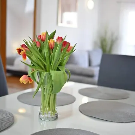 Apartament L & Z Visnjik