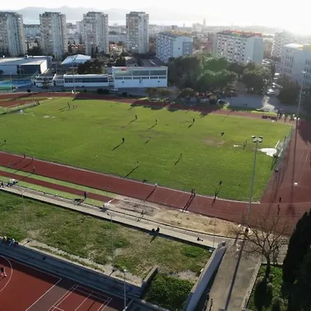 L & Z Visnjik * זאדאר