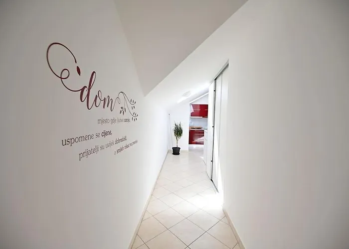 L & Z Visnjik * זאדאר