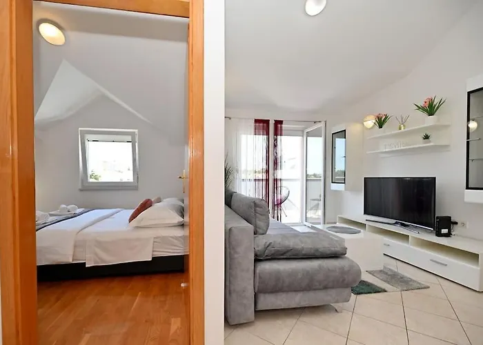 L & Z Visnjik * זאדאר