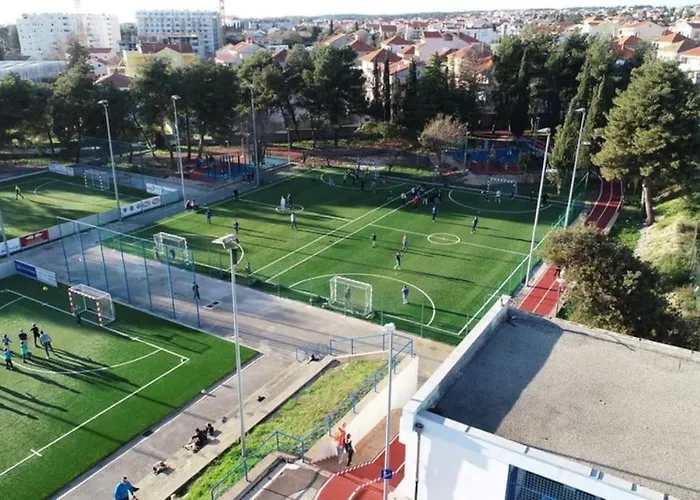 L & Z Visnjik זאדאר